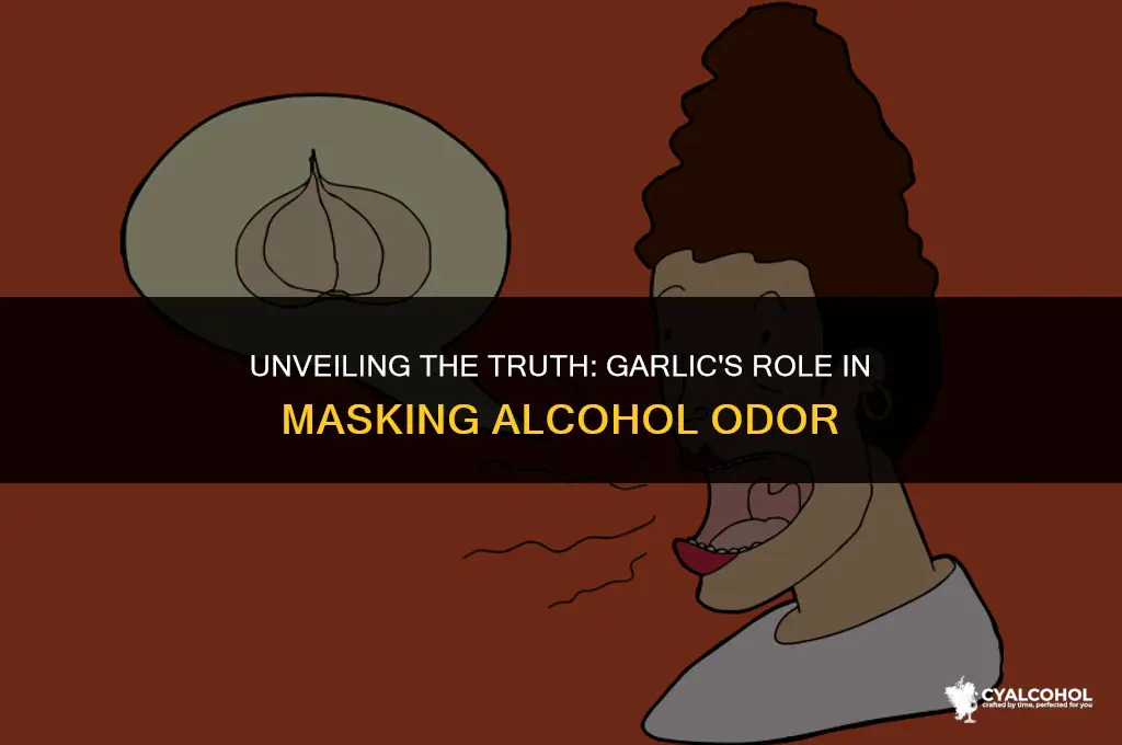 does garlic cover smell alcohol