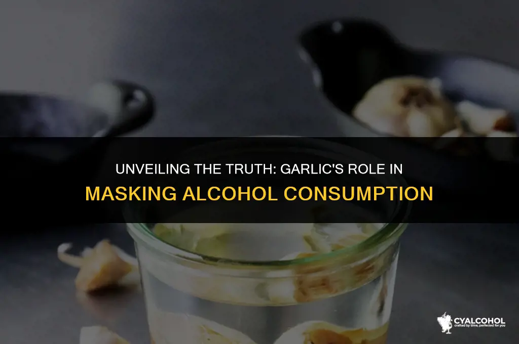 does garlic cover up alcohol
