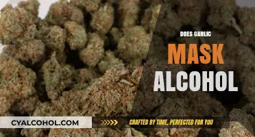 Can Garlic Really Mask Alcohol on Your Breath? The Truth Revealed