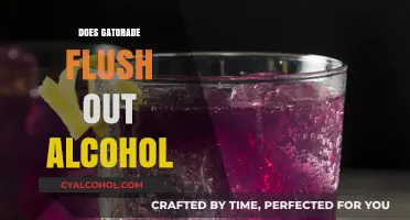 Hydration and Hangovers: Does Gatorade Really Flush Out Alcohol?