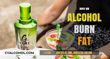Exploring the Myth: Can Gin Alcohol Really Burn Fat?