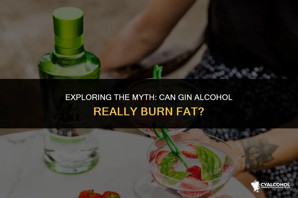 does gin alcohol burn fat