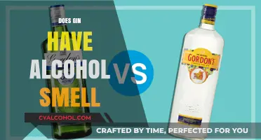 Unveiling the Truth: Does Gin Really Have an Alcohol Smell?