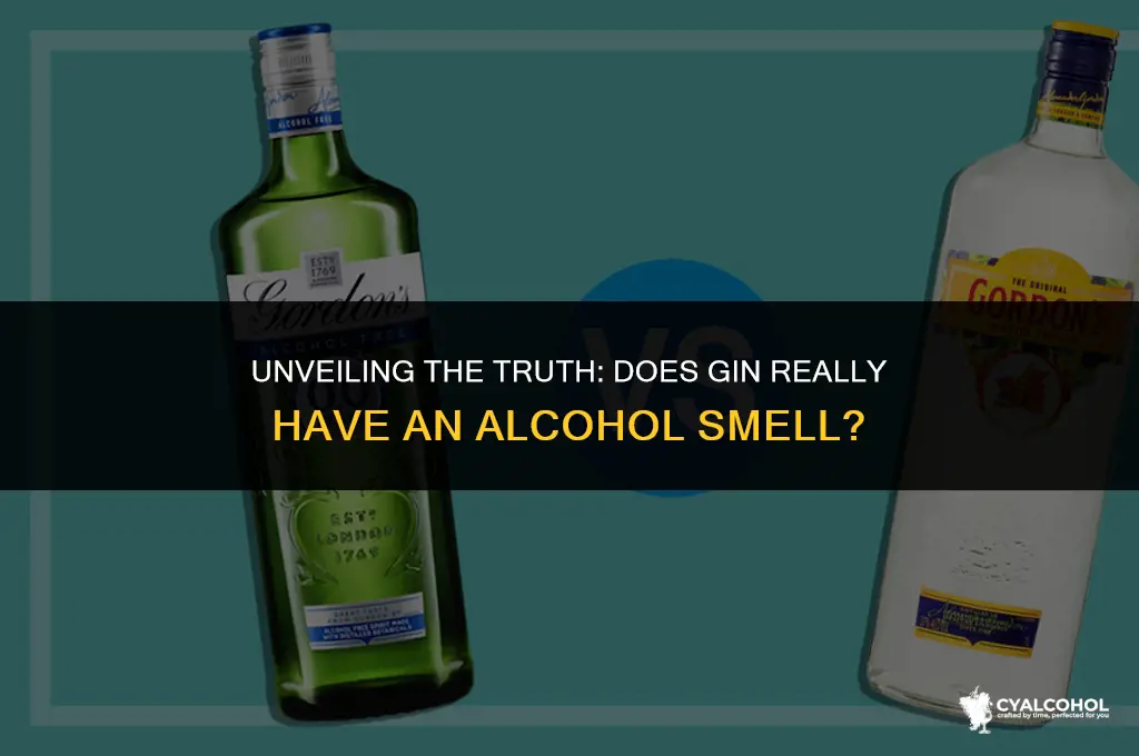 does gin have alcohol smell