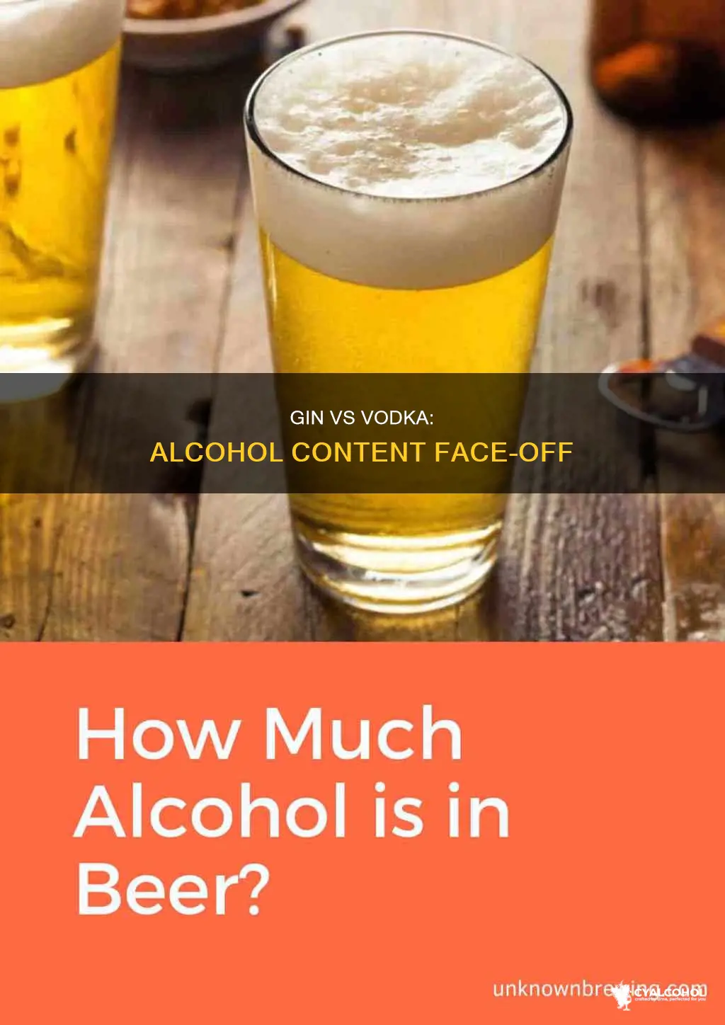 does gin have the same percent alcohol as vodka