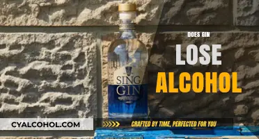 Does Gin Lose Alcohol Over Time? Storage Tips and Facts