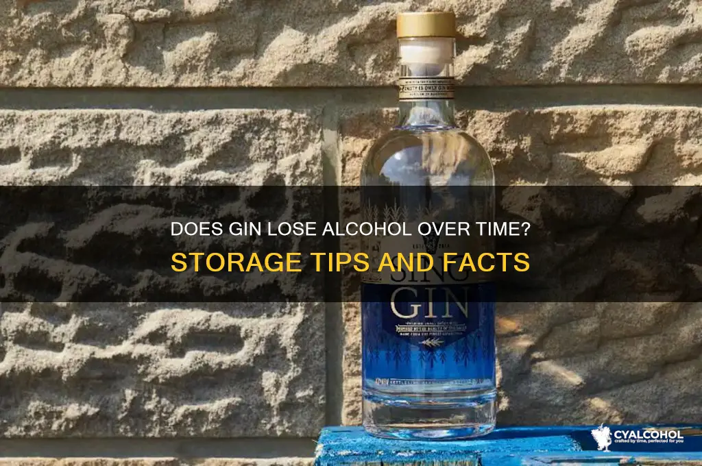 does gin lose alcohol