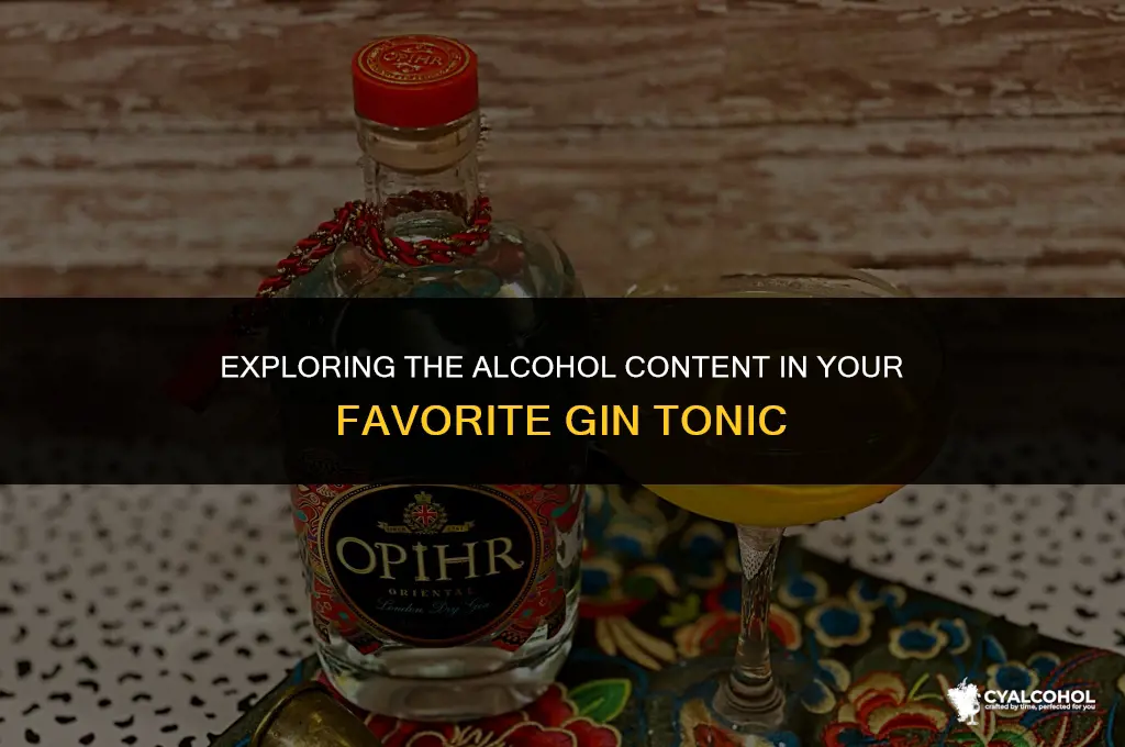 does gin tonic have alcohol