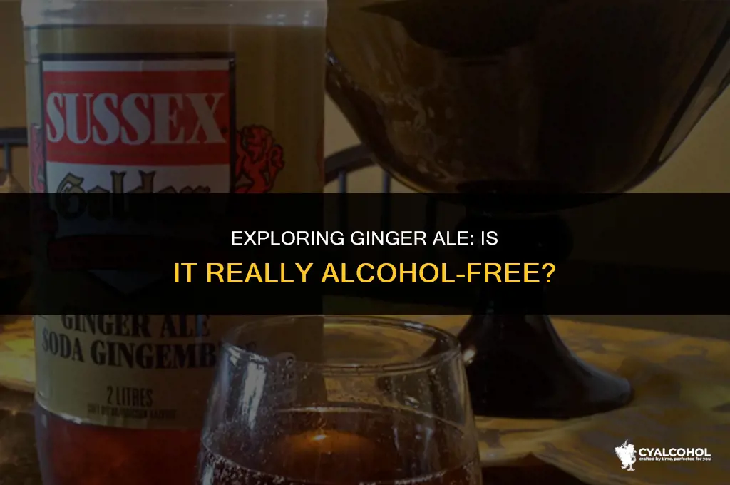 does ginger ale considered alcohol