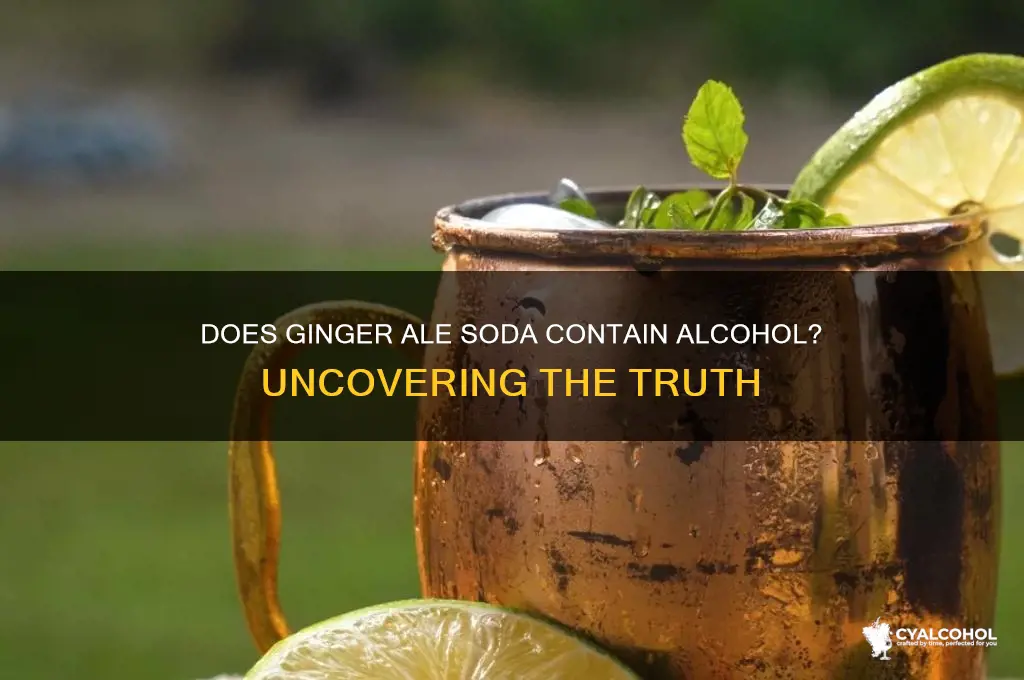 does ginger ale soda have alcohol