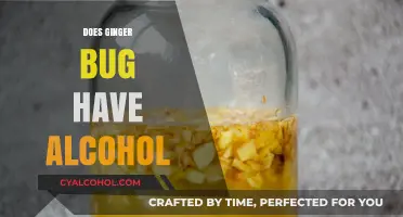 Unveiling the Truth: Is Ginger Bug a Sober Delight?