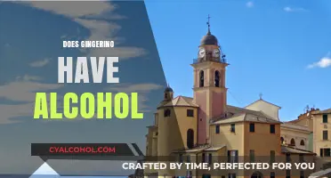 Is Gingerino Alcoholic? Unveiling the Truth About Its Ingredients