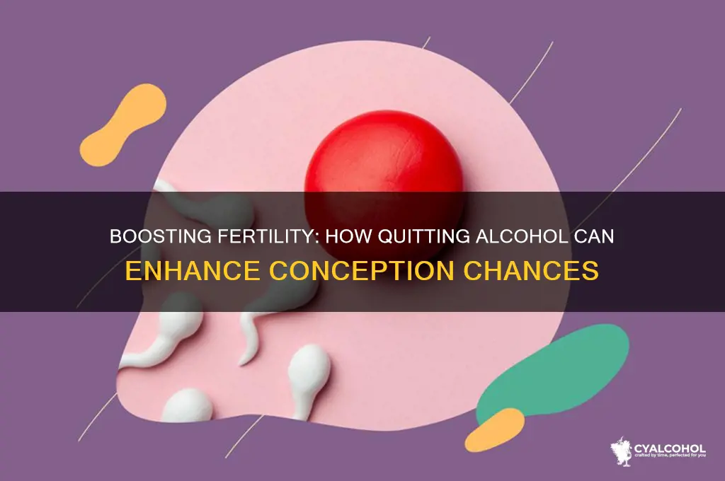 does giving up alcohol increase fertility