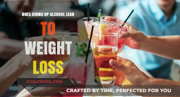 Sober and Slimmer: Can Quitting Alcohol Help You Lose Weight?