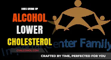 Can Quitting Alcohol Reduce Your Cholesterol Levels? Find Out Here