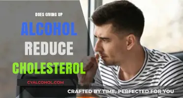 Can Quitting Alcohol Lower Your Cholesterol? Surprising Health Benefits Revealed