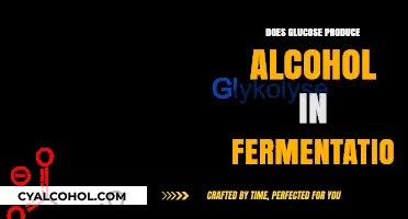 Glucose to Alcohol: Understanding the Fermentation Process in Brewing