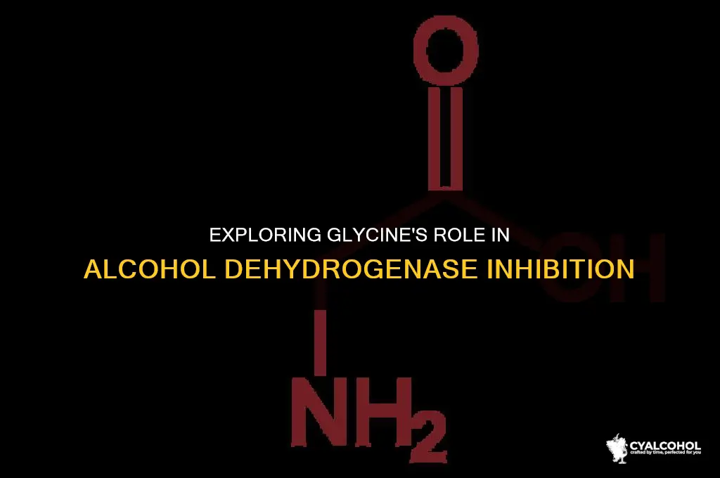 does glycine inhibit alcohol dehydrogenase