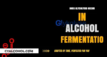 Glycolysis in Alcohol Fermentation: Unraveling the Metabolic Process
