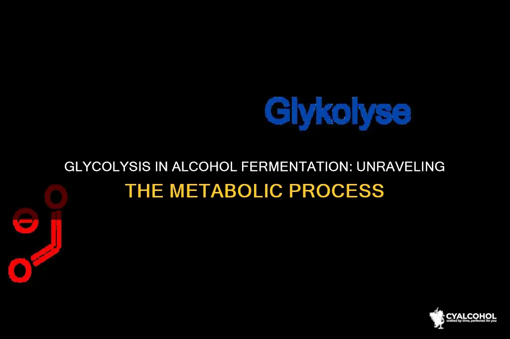 does glycolysis occur in alcohol fermentation