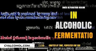 Glycolysis in Alcoholic Fermentation: Unraveling the Metabolic Process