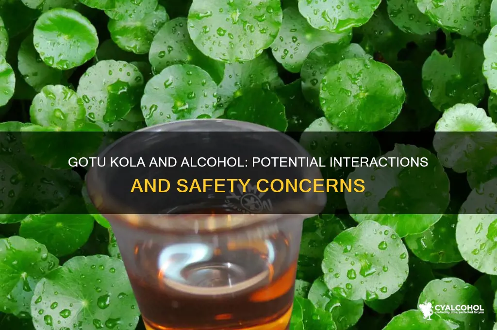 does gotu kola interact with alcohol