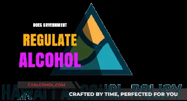 Government's Role in Alcohol Regulation: Policies, Enforcement, and Public Health