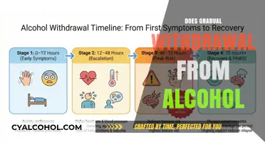 Navigating Sobriety: The Journey of Gradual Alcohol Withdrawal