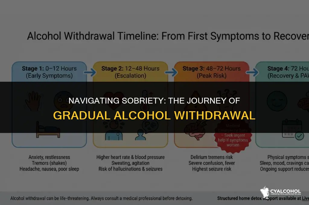 does gradual withdrawal from alcohol