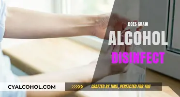 Can Grain Alcohol Effectively Disinfect Surfaces and Kill Germs?
