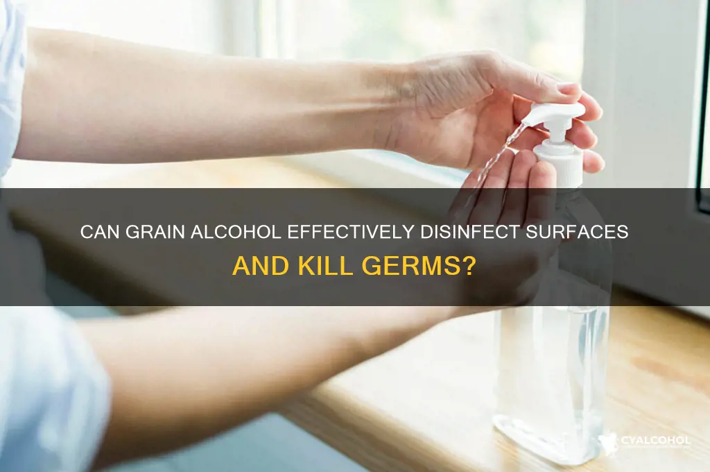 does grain alcohol disinfect