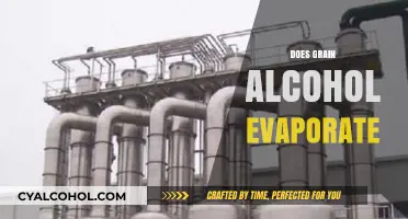 Does Grain Alcohol Evaporate? Understanding Ethanol's Vaporization Process