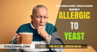 Yeast Allergy: Can You Drink Grain Alcohol?