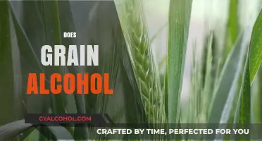 Does Grain Alcohol Impact Health and Wellness Differently Than Other Spirits?