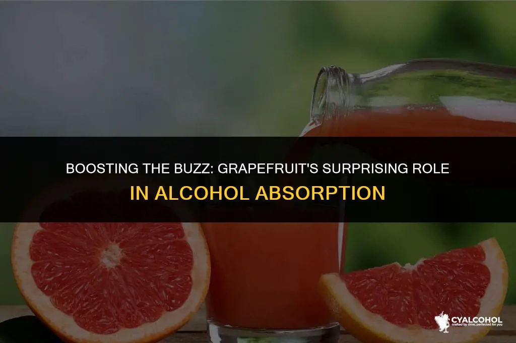 does grapefruit increase alcohol absorption