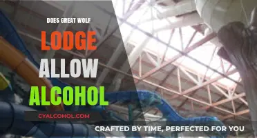 Can You Bring Alcohol to Great Wolf Lodge? Policy Explained