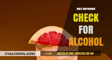 Greyhound's Alcohol Policy: What You Need to Know Before Your Next Trip