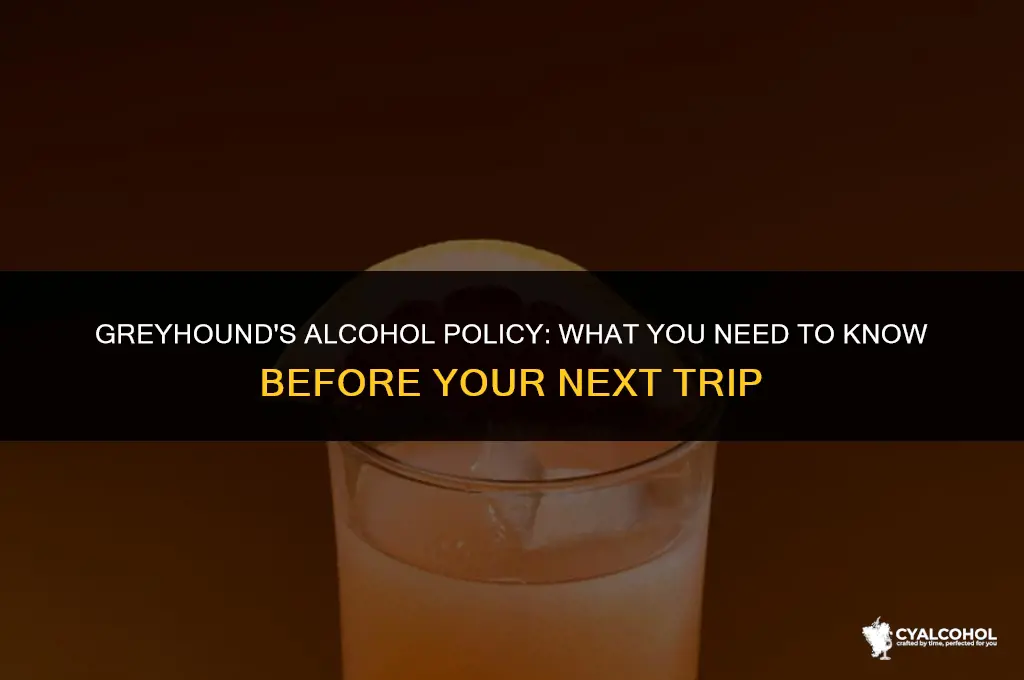 does greyhound check for alcohol