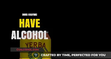 Does Guayaki Yerba Mate Contain Alcohol? Facts and Insights