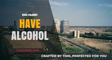 Exploring Gujarat's Alcohol Laws: Availability, Restrictions, and Cultural Impact