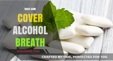 Fresh Breath Myths: Does Gum Really Mask Alcohol Breath?