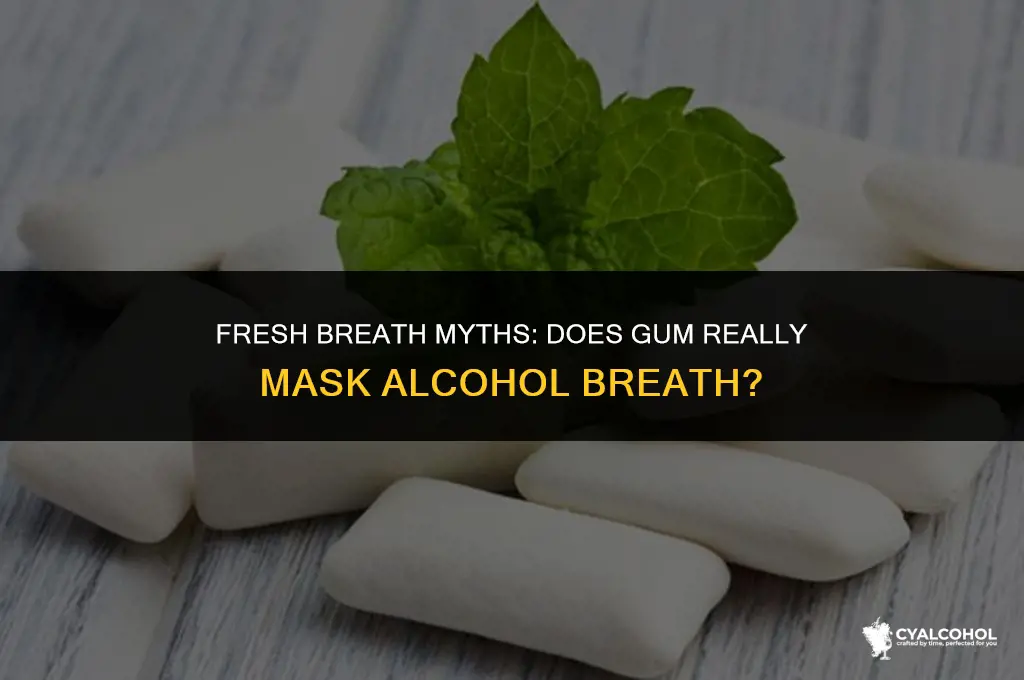 does gum cover alcohol breath