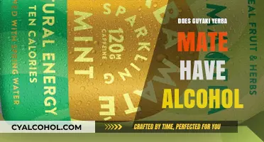 Does Guayaki Yerba Mate Contain Alcohol? Facts and Clarifications