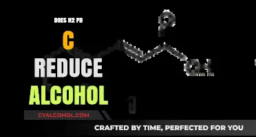 H2 Pd/C in Alcohol Reduction: Mechanism and Applications Explained