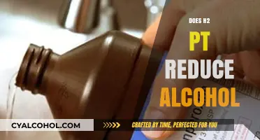Exploring the Potential of H2 Therapy in Reducing Alcohol Consumption