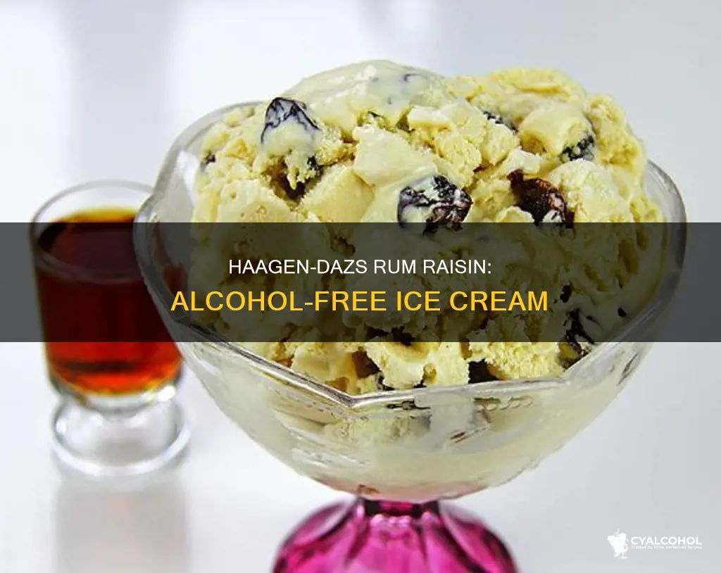 does haagen dazs rum raisin ice cream have alcohol