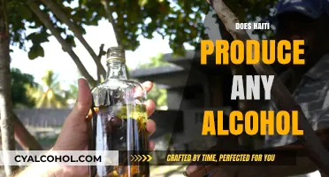 Exploring Haiti's Alcohol Production: A Cultural and Economic Insight