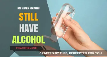 Does Hand Sanitizer Still Contain Alcohol? What You Need to Know