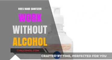 Can Non-Alcohol Hand Sanitizers Effectively Kill Germs and Bacteria?