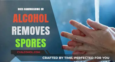 Handwashing vs. Alcohol: Which Effectively Removes Spores?